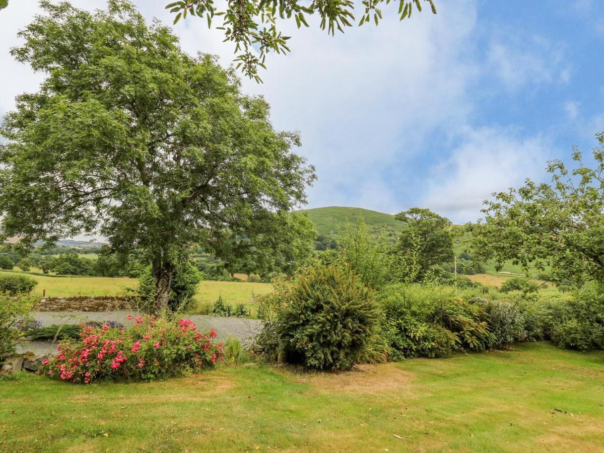 Byrdir Cottage Llanwrthwl Ngoại thất bức ảnh